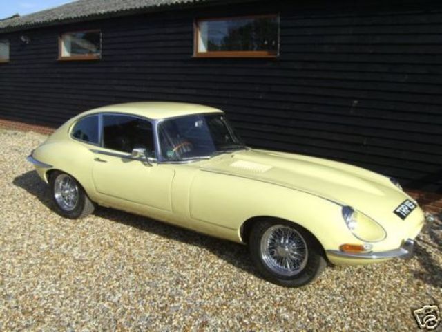 E Type1